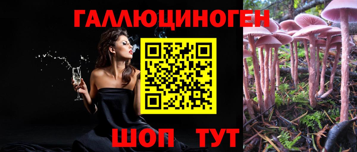 Галлюциногенные грибы мухоморы Солнечногорск