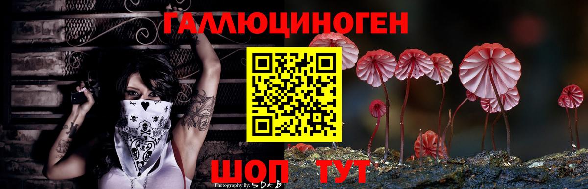 Солнечногорск  Псилоцибиновые грибы GOLDEN TEACHER  Вход с VPN 